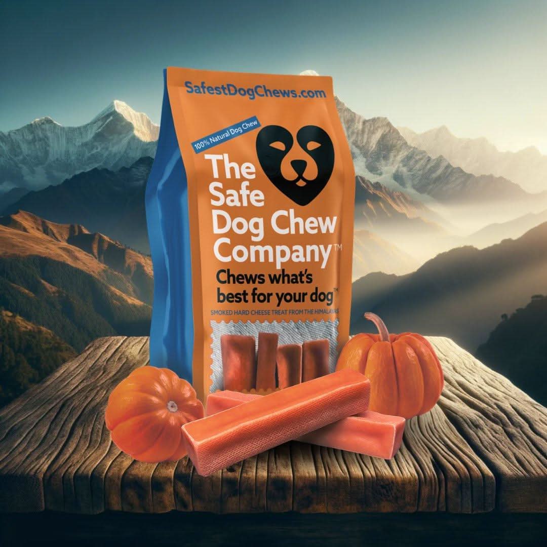 PUMPKIN CHEW The Safe Dog Chew Company pumpkin-chew-the-safe-dog-chew-company