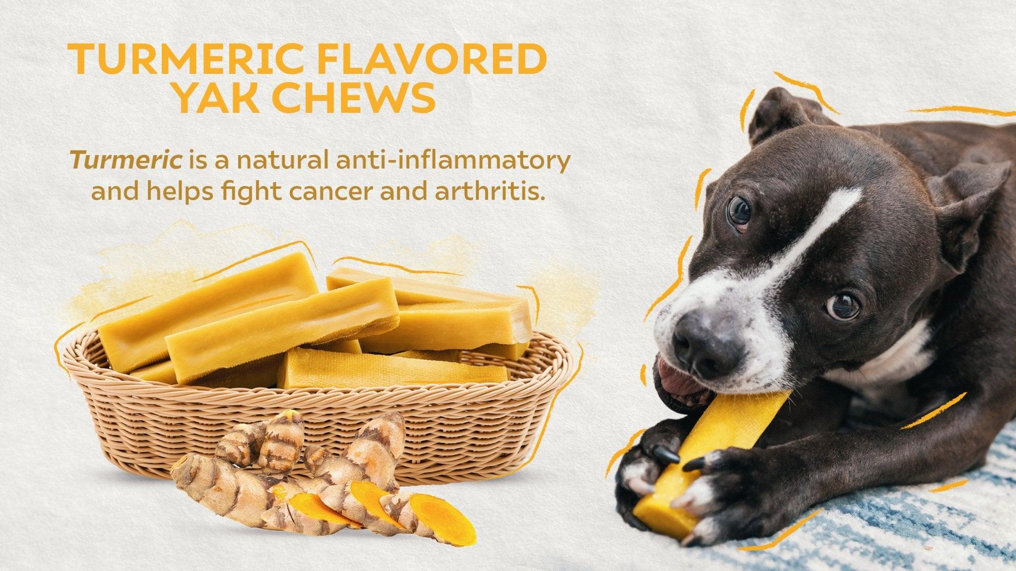 Nourish Your Dog's Wellness with Turmeric Yak Chews: Wholesome and ...
