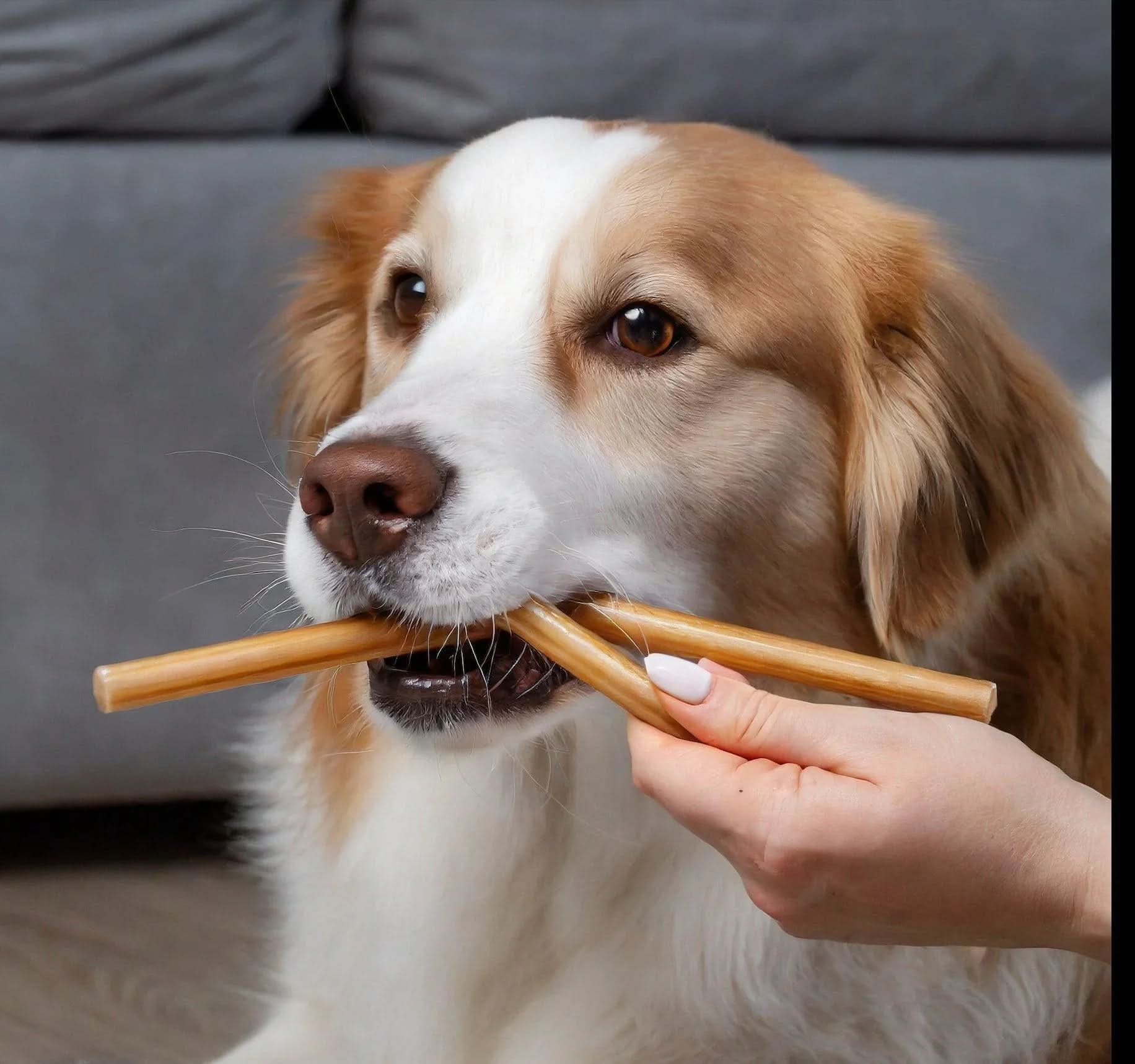 6 INCH BEEF COLLAGEN STICKS The Safe Dog Chew Company 6-inch-beef-collagen-sticks-the-safe-dog-chew-company