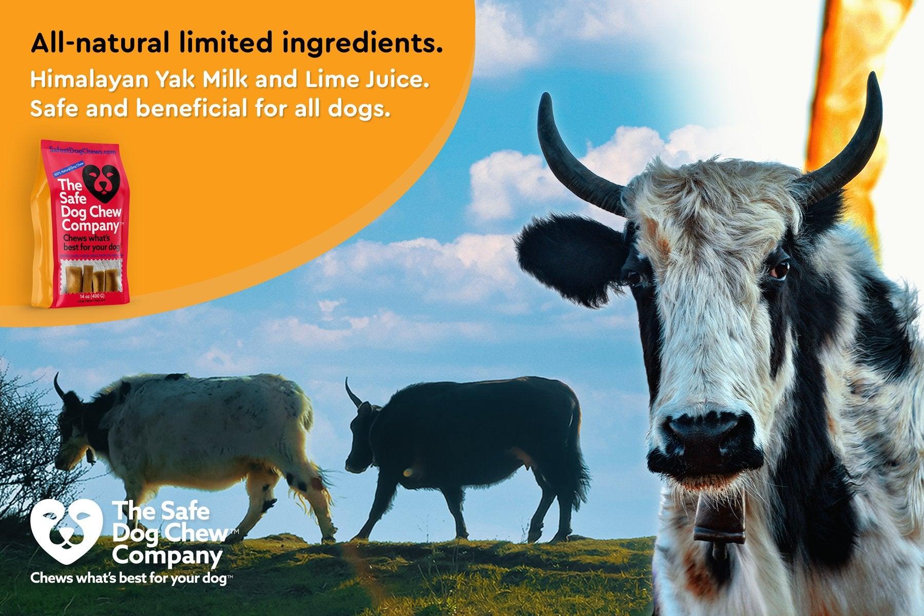 LARGE YAKS / Best for dogs under 55 lbs The Safe Dog Chew Company
