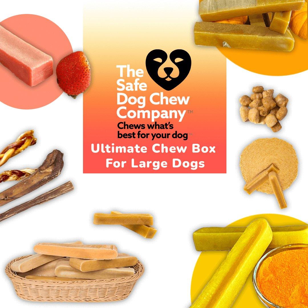 ULTIMATE CHEW BOX FOR LARGE DOGS - The Safe Dog Chew Company